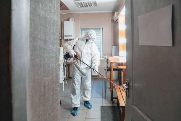 Strongsville, OH Mold Inspection, Removal & Remediation Company